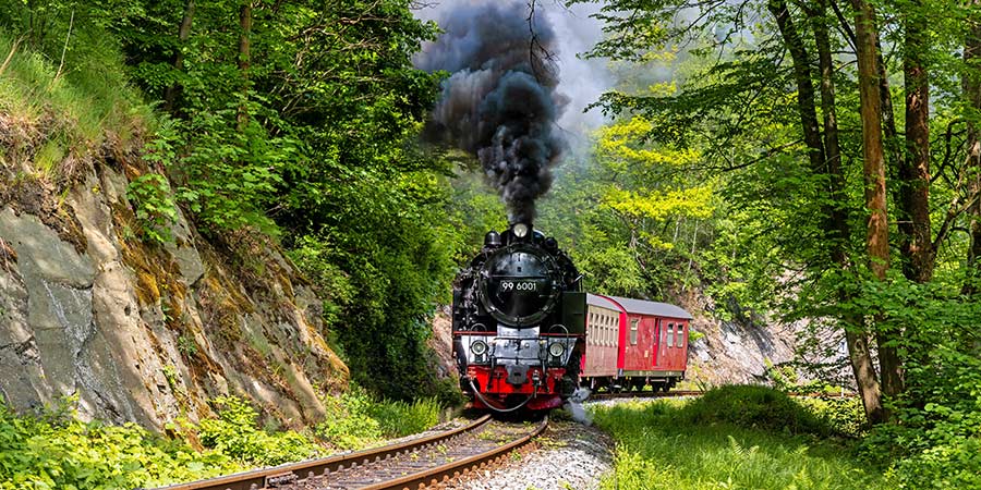 Discovering the Harz Mountains on the Selketal Railway