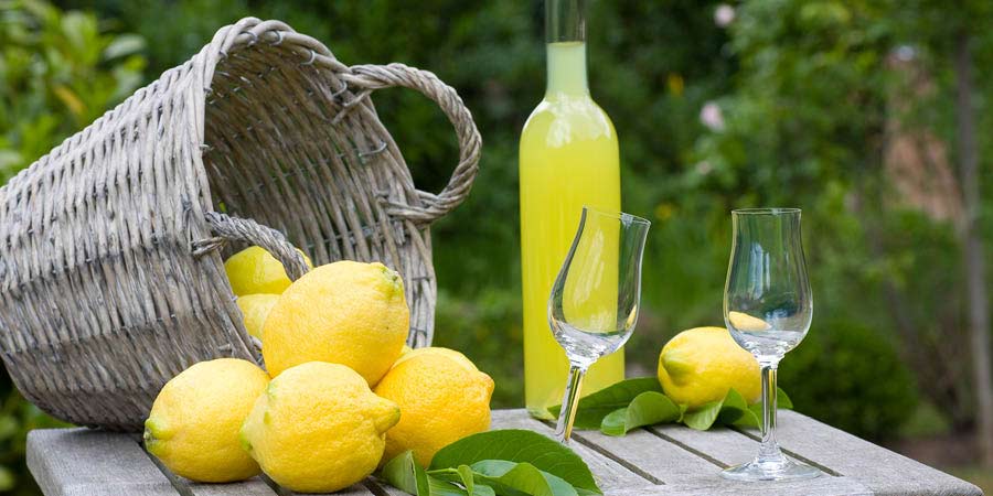 Indulging in a farm-to-table meal at an agriturismo