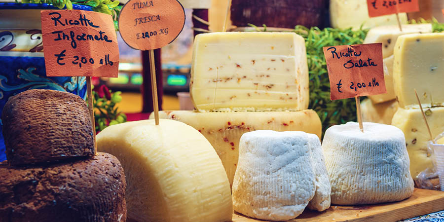 Discovering Piedmont’s sights in Bra