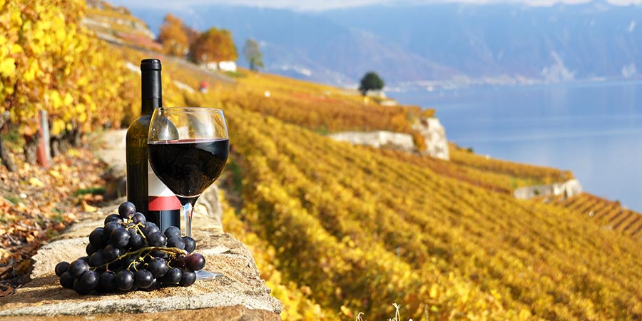 Visiting the Lavaux wine region for a tasting